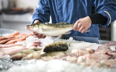 Macron trahit les français et a sacrifié nos pêcheurs