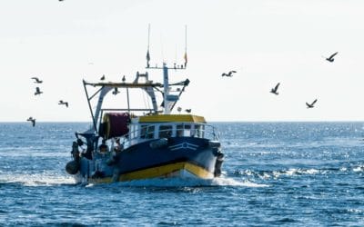 La pêche, encore la variable d’ajustement de l’Union Européenne