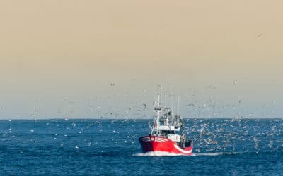 L’UE entérine le flicage des pêcheurs