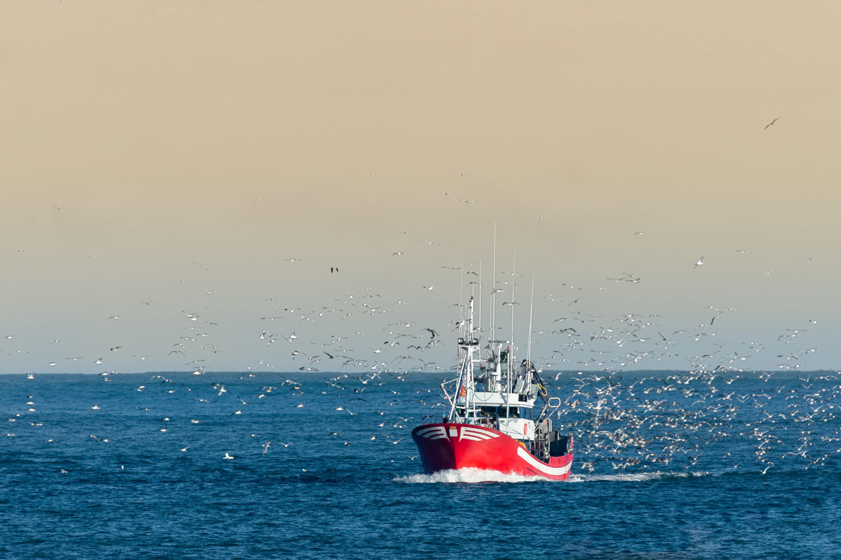 L’UE entérine le flicage des pêcheurs