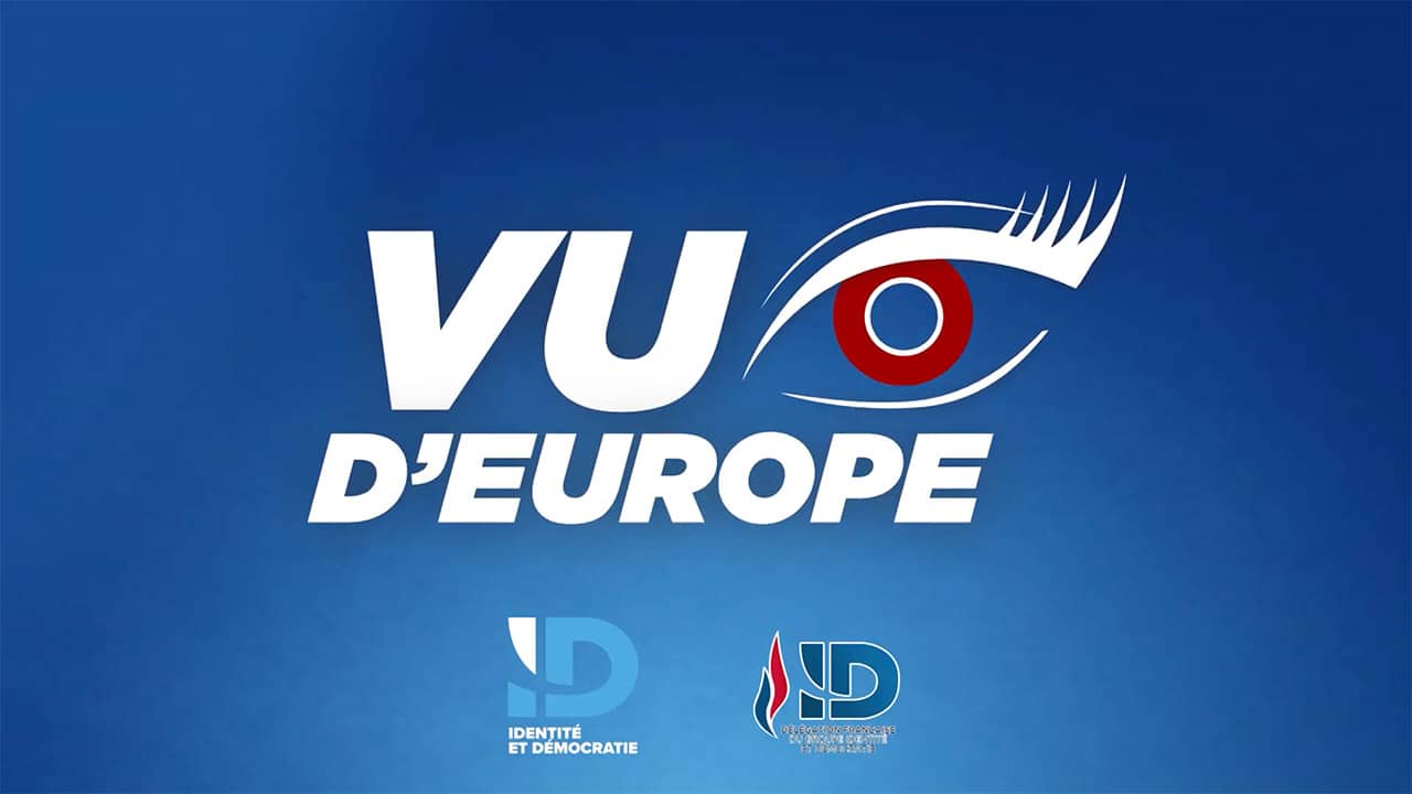 #20 « Vu d’Europe » du 8 juillet 2022 avec Hervé Juvin et Gilles Lebreton