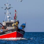 Réduction des flottes de pêche françaises : le fatalisme du Ministre de la pêche est révoltant !