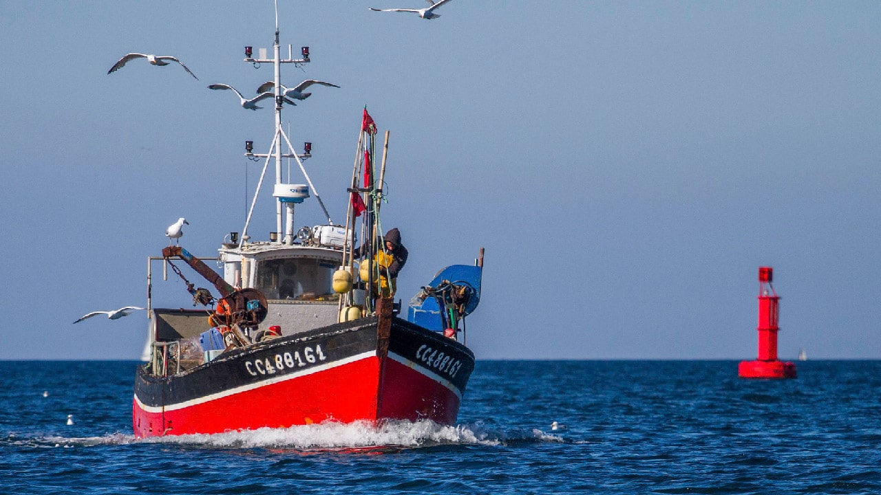 Réduction des flottes de pêche françaises : le fatalisme du Ministre de la pêche est révoltant !