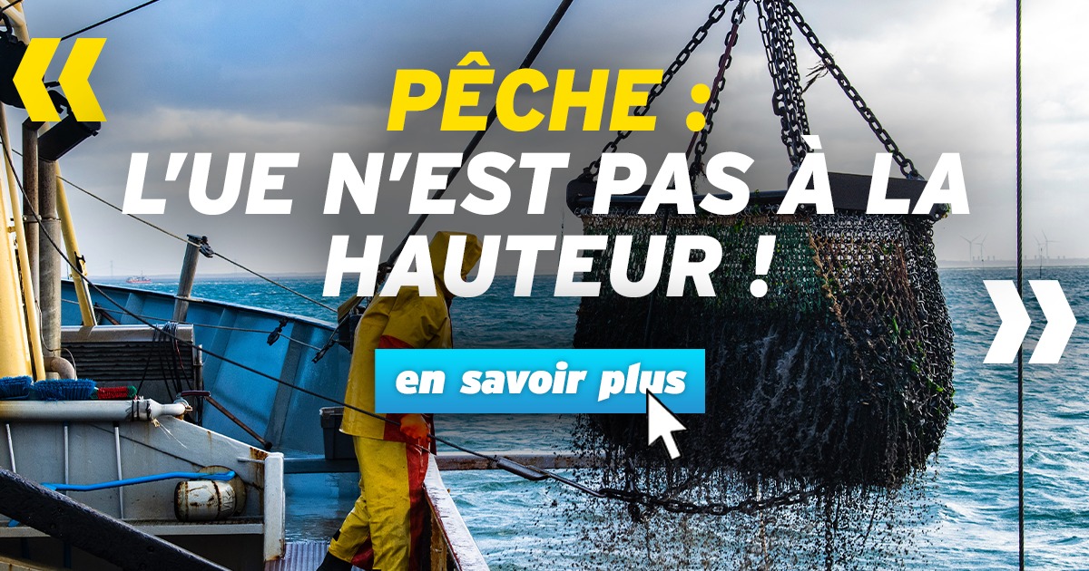 Pêche : L’UE n’est pas à la hauteur ! 
