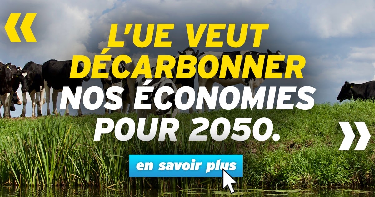 L’UE veut décarbonner nos économies pour 2050.